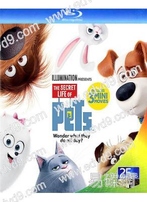 愛寵大機密1/寵物當家/Pet Pet當家(25G藍光)