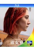 淑女鳥/伯德小姐 Lady Bird(2017)(提摩西·夏...