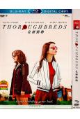 良種動物/優良品種 Thoroughbreds