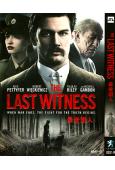 最後證人 The Last Witness