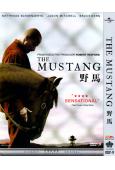 野馬The Mustang