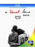隱秘的愛 A Secret Love (2020)(25G藍光)