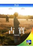 古寶/發掘/考古奪寶 The Dig (2021)(25G藍...