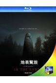 地表驚旅 In the Earth (2021)(25G藍光)