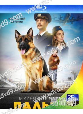 忠犬帕爾瑪1(2021)(25G藍光)