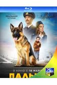 忠犬帕爾瑪1(2021)(25G藍光)
