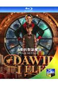 大衛的聖誕魔法 Dawid i Elfy (2021)(25G藍光)