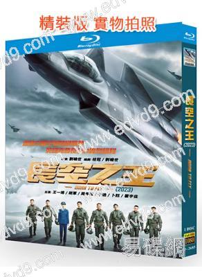 (藍光正式版)長空之王(2023)(王一博 胡軍)(25G藍光)