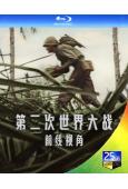 世界第二次大戰:前線經歷(2023)(紀錄片)(2BD)(25G藍光)