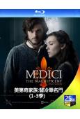 (精裝超高清藍光合集)美第奇家族:翡冷翠名門(1-3季)(2...