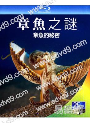 章魚的秘密/章魚之謎(2024)(紀錄片)(1BD)(25G藍光)