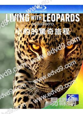 小豹的驚奇旅程/幼豹成長記 Living with Leopards(2024)(25G藍光)