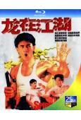 李小龍傳(1992)(2BD)(吳大維 呂頌賢 張家輝)(經...