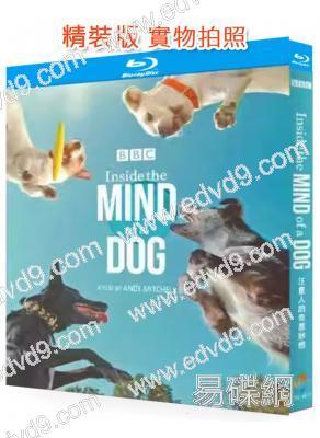 汪星人的奇思妙想(2024)(紀錄片)(25G藍光)