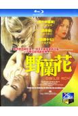 野蘭花1(1990)(經典情色)(25G藍光)