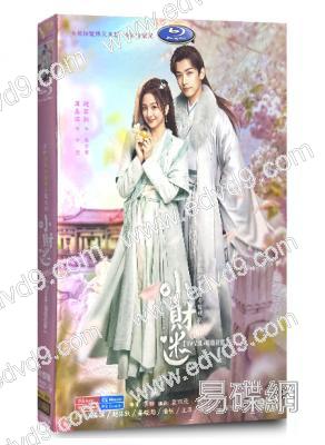 小財迷(2024)(厲嘉琪 趙弈欽)(高清5片裝)