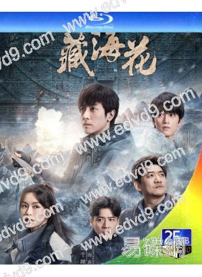 藏海花/盜墓筆記之藏海花(2024)(張魯一 文詠珊)(3BD)(25G藍光)