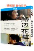 路邊花草(2023)(越川道夫執導)(日本情色)(25G藍光...