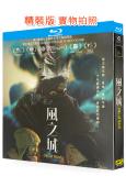 風之城/薩滿男孩(2024)(25G藍光)