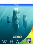與鯨共舞 第一季(2024)(紀錄片)(1BD)(25G藍光...