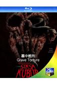 墓中酷刑(2024)(喬可·安華新作)(25G藍光)