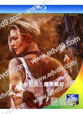 多米尼克:鳳凰崛起(2024)(動作爽片)(25G藍光)