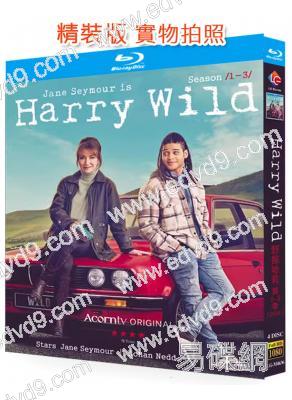 野探哈莉 第1-3季(2024)(BBC探案劇)(4BD)(25G藍光)