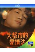 大都市愛情法(2024)(南潤壽 李秀卿)(2BD)(25G藍光)