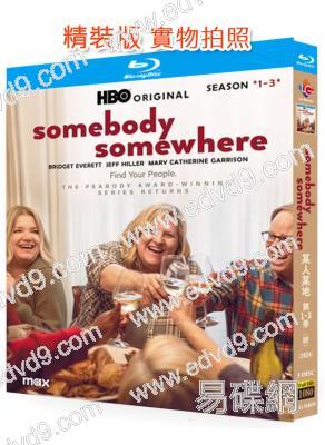 某人某地(1-3季)<終>(2024)(3BD)(25G藍光)