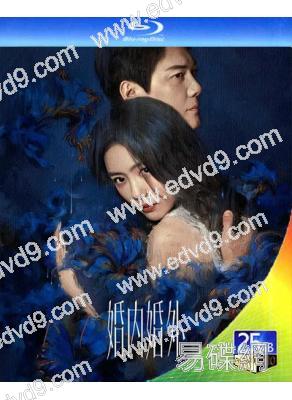 婚內婚外/我和婚姻的戰鬥(2024)(馮紹峰 蔡文靜)(3BD)(25G藍光)