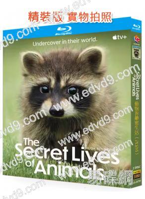 動物的秘密生活(2024)(紀錄片)(2BD)(25G藍光)