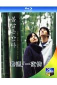 春逝/一夜情(2001)(李英愛)(經典韓影)(25G藍光)