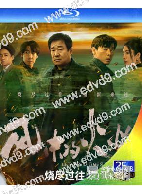 風中的火焰(2024)(王景春 蔣奇明)(2024)(3BD)(25G藍光)