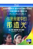 你是我眼中的那道光/想象之光(2024)(台灣院線電影)(2...