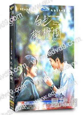 白色橄欖樹(2025)(陳哲遠 梁潔)(高清6片裝)