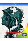 越南:改變美國的戰爭(2025)(記錄片)(2BD)(25G藍光)