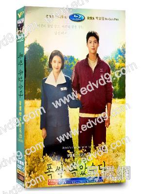 (百想藝術賞最佳劇集)苦盡柑來遇見你(2025)(李知恩 樸寶劍)(高清5片裝)