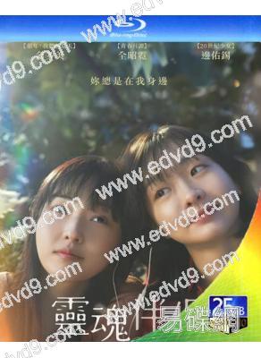 再見,我的靈魂伴侶/七月與安生(韓版)(2025)(金多美)(台灣院線電影)(25G藍光)