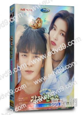 愛情發芽中(2025)(李先彬 姜泰伍)(高清5片裝)