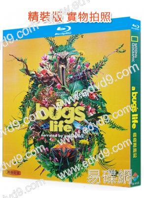 蟲蟲危機/蟲蟲歷險記 第一季(2024)(紀錄片)(25G藍光)(可選其他季)