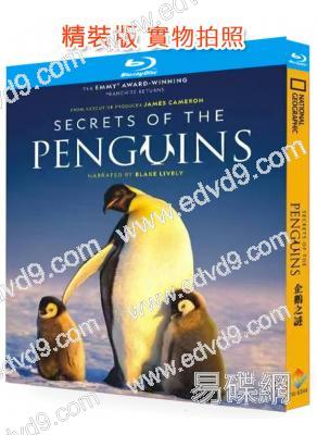 企鵝之謎(2025)(紀錄片)(國家地理出品)(25G藍光)