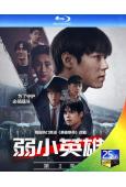 弱美男英雄/脆弱的英雄 第二季(2025)(樸誌訓)(2BD...