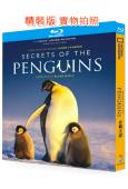 企鵝之謎(2025)(紀錄片)(國家地理出品)(25G藍光)