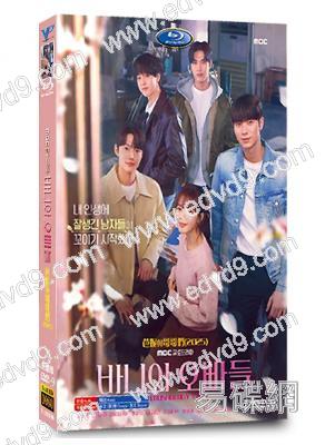 芭妮與哥哥們(2025)(盧正義 李彩玟)(高清4片裝)