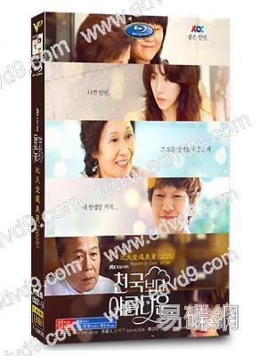 比天堂還美麗(2025)(金惠子 孫錫久)(高清4片裝)