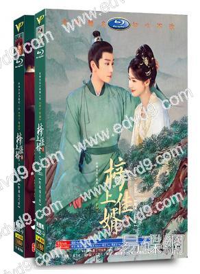 榜上佳婿(全集)(2025)(王子奇 盧昱曉)(高清8片裝)