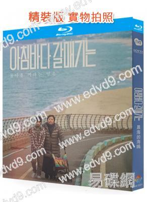 晨海的海鷗(2024)(韓國劇情片)(25G藍光)