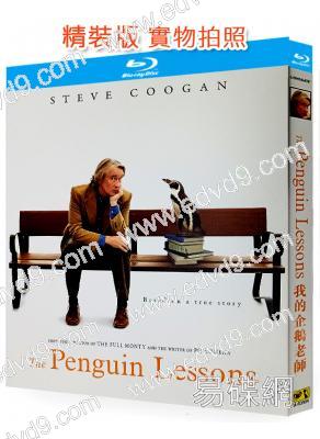 我的企鵝老師/一只企鵝教我的事(2025)(25G藍光)