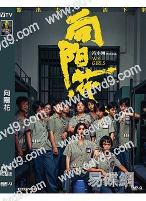 向陽花(2025)(趙麗穎)(馮小剛新作)(高清獨家版)