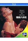 情挑六月花(1990)(經典情色)(25G藍光)